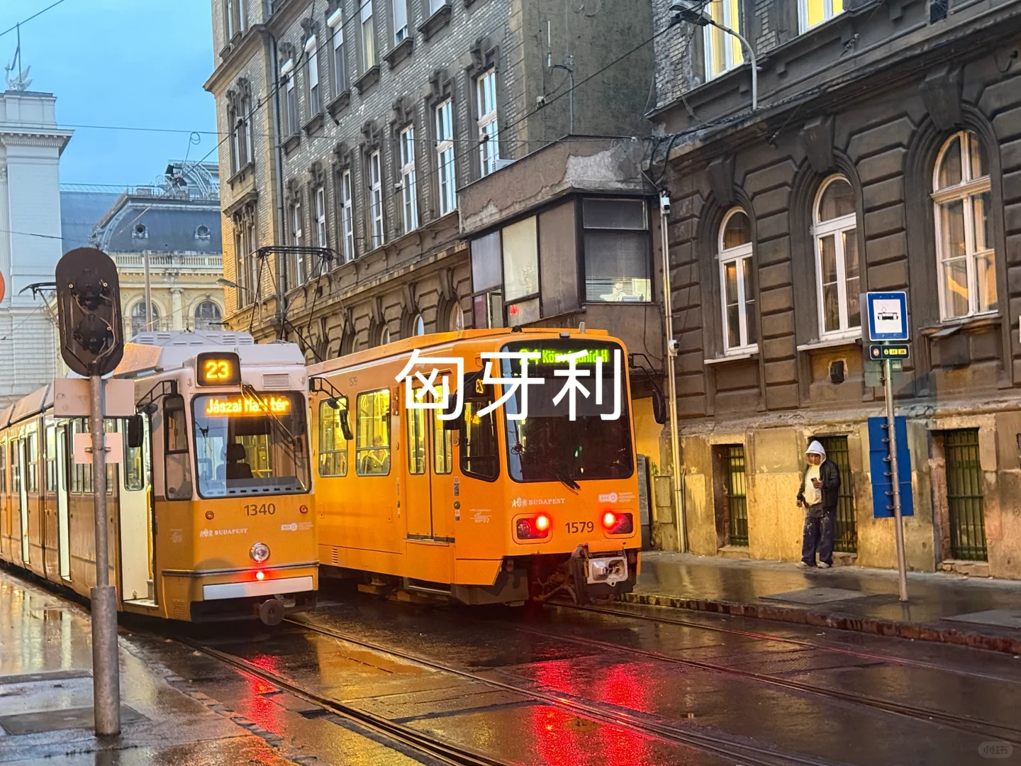 十年全球采购顺便实现了Target国家✈️计划