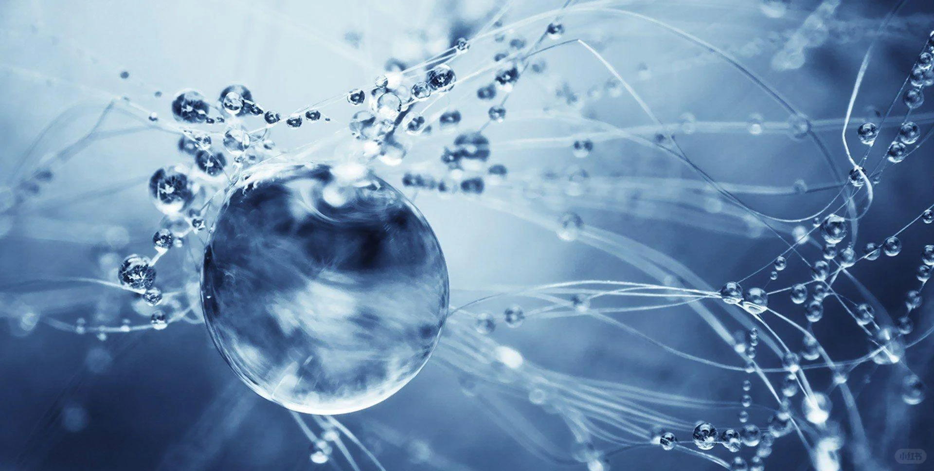 2026沙特重点展会指南：抢占万亿市场先机