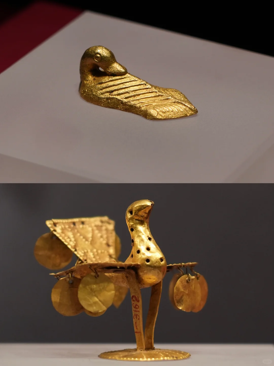 金耀九州|掉进安博金窖