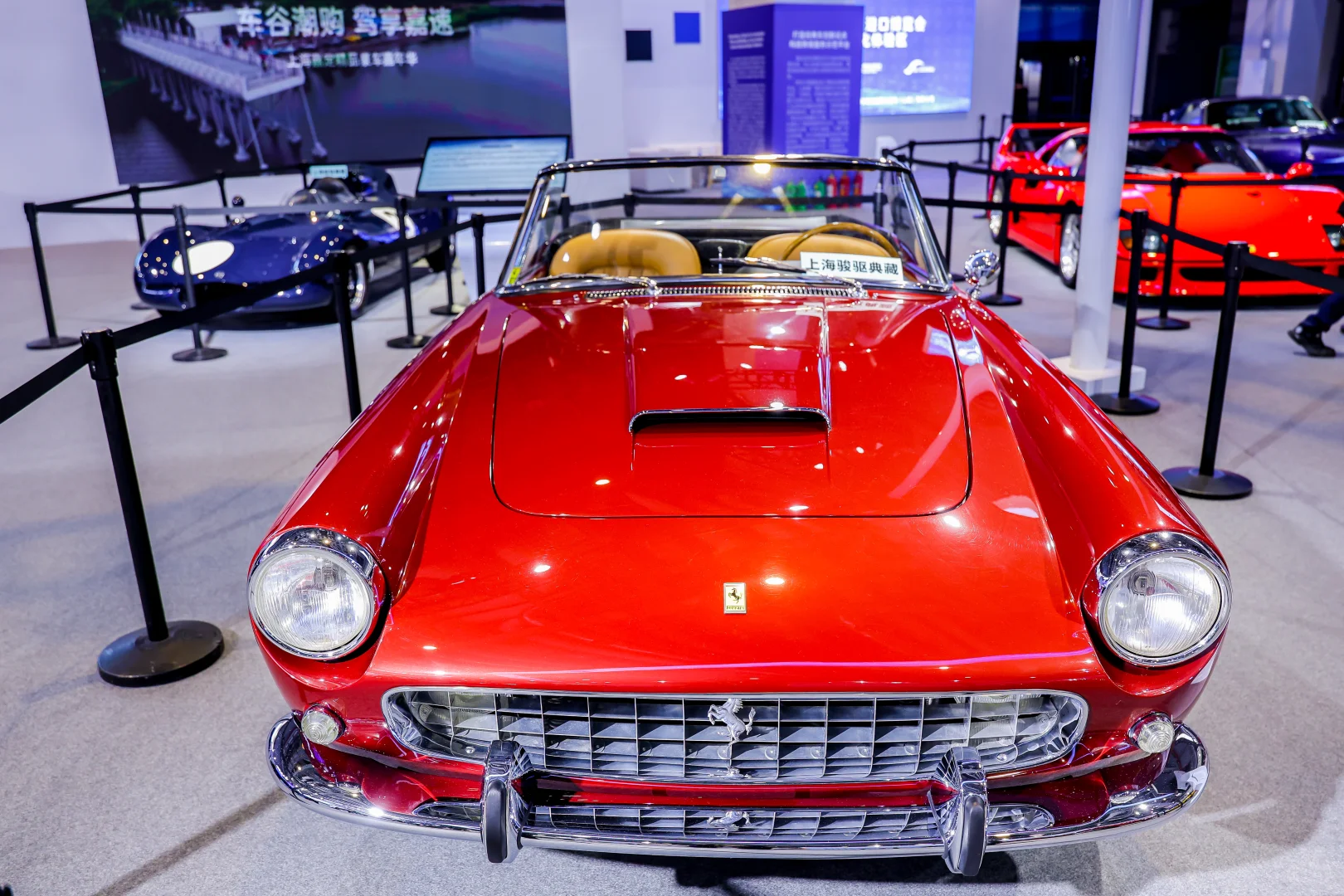 2025进博会之旅结束，回济