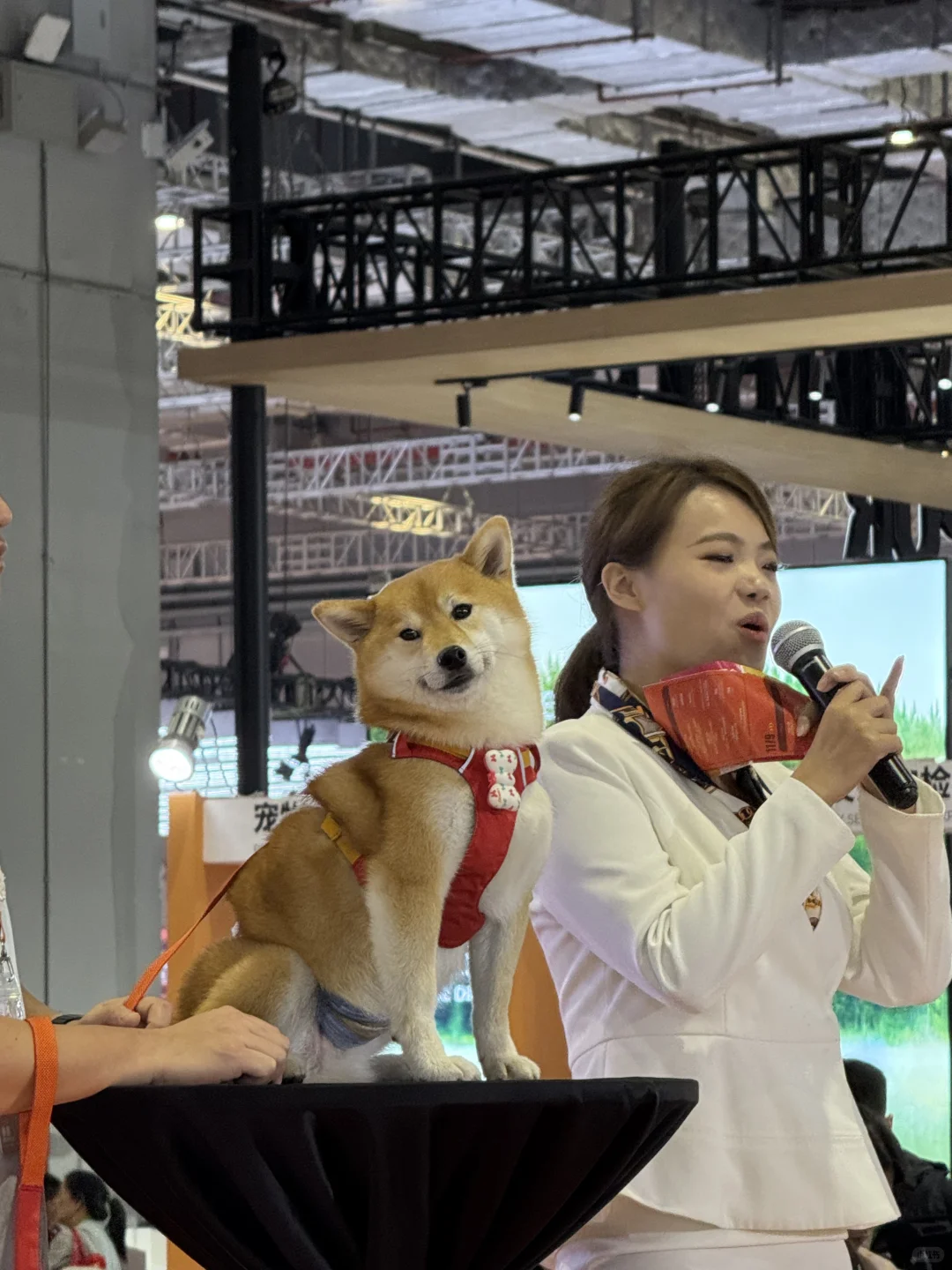 在进博会吃太好