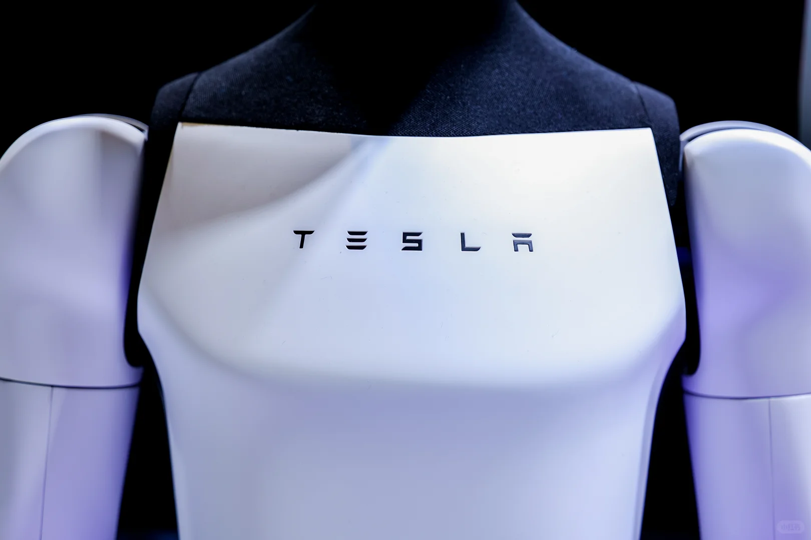 2025进博会之旅结束，回济