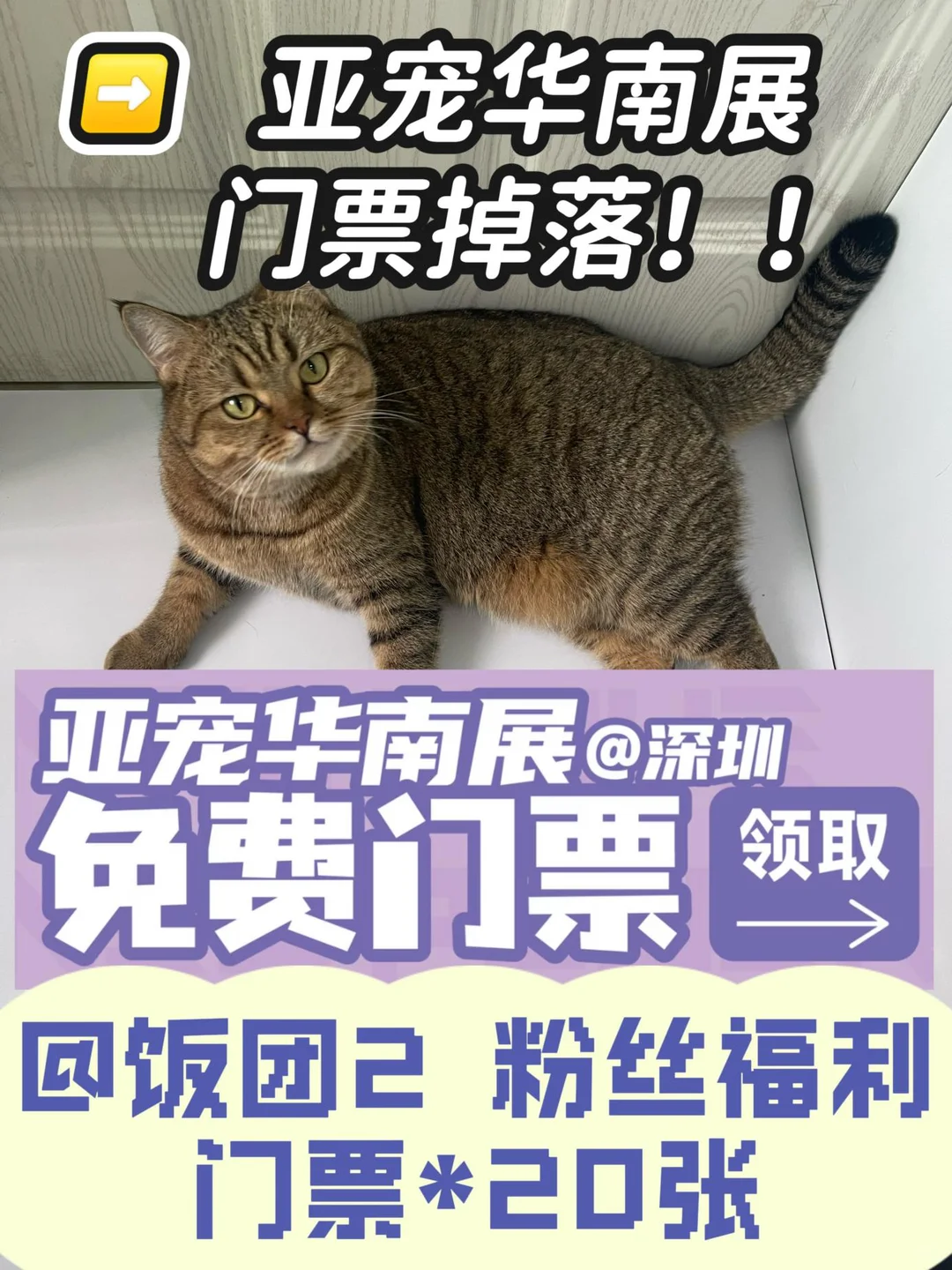 铲屎官狂喜！饭团带你提前云逛亚宠华南展