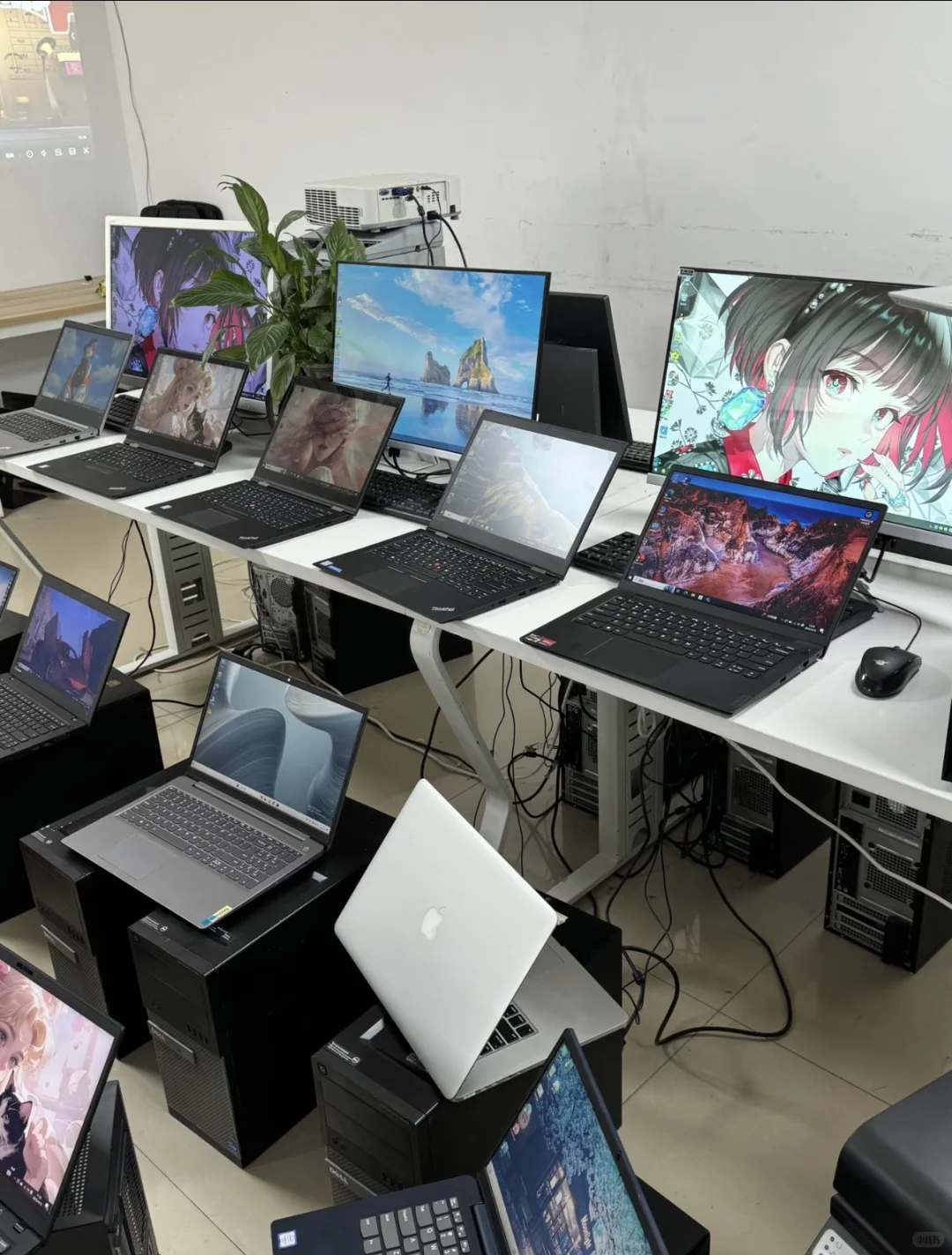 公司解散 武进自提