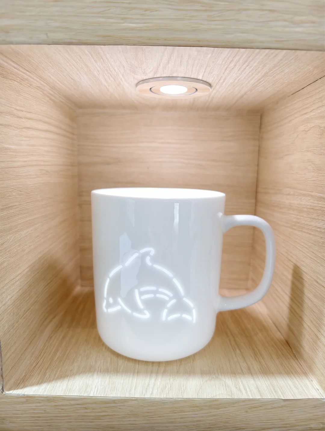 进博会第三天观展/薅羊毛/剁手攻略