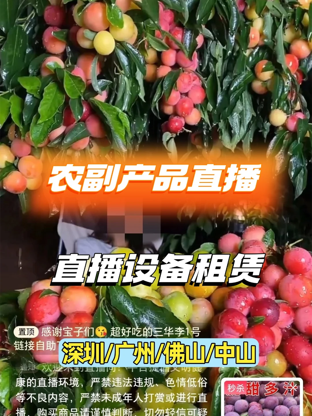 农产品直播！全套直播设备租赁，包搭建调试