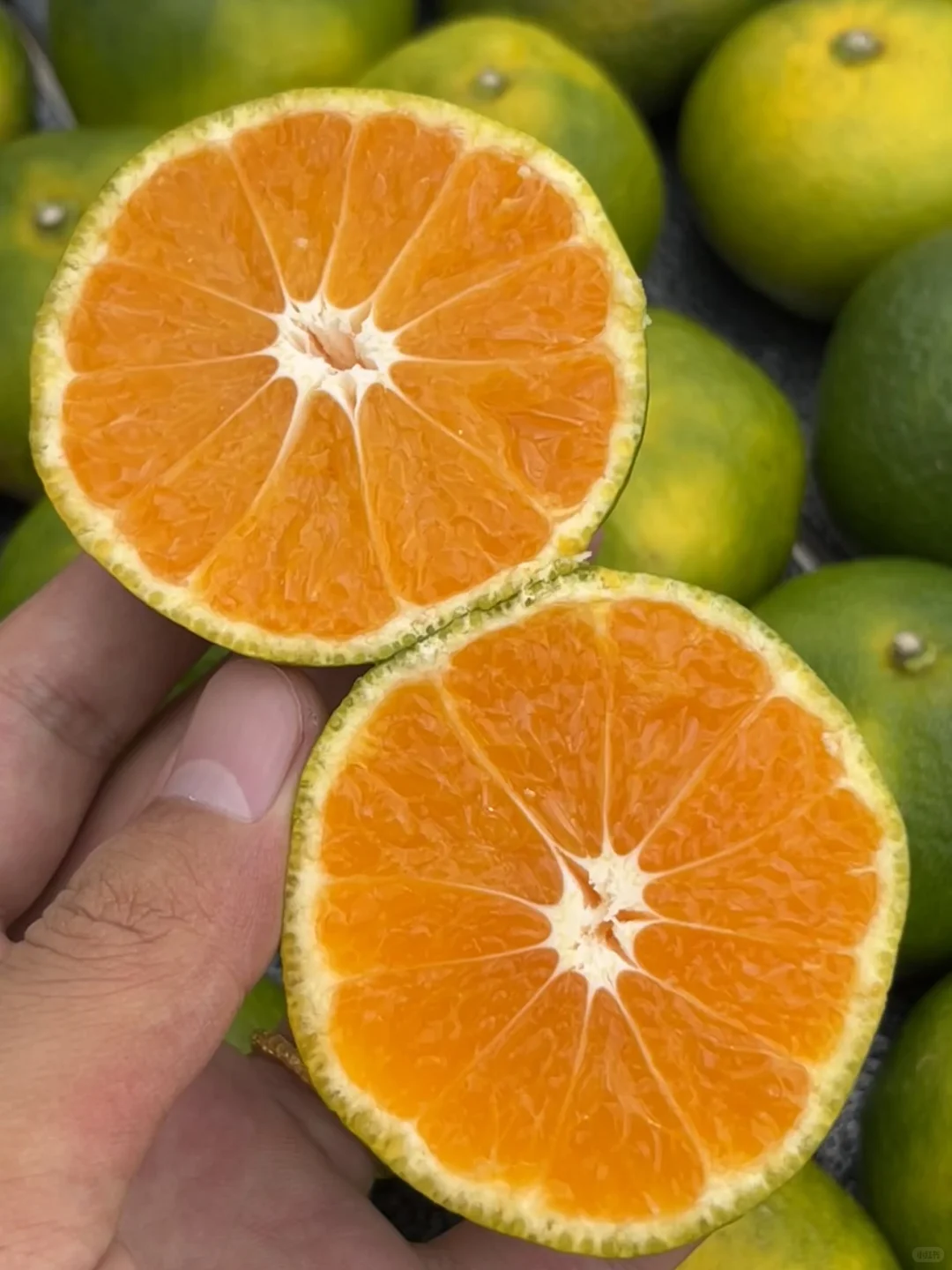 谁来能帮帮这个快被时代淘汰的水果?谁来能