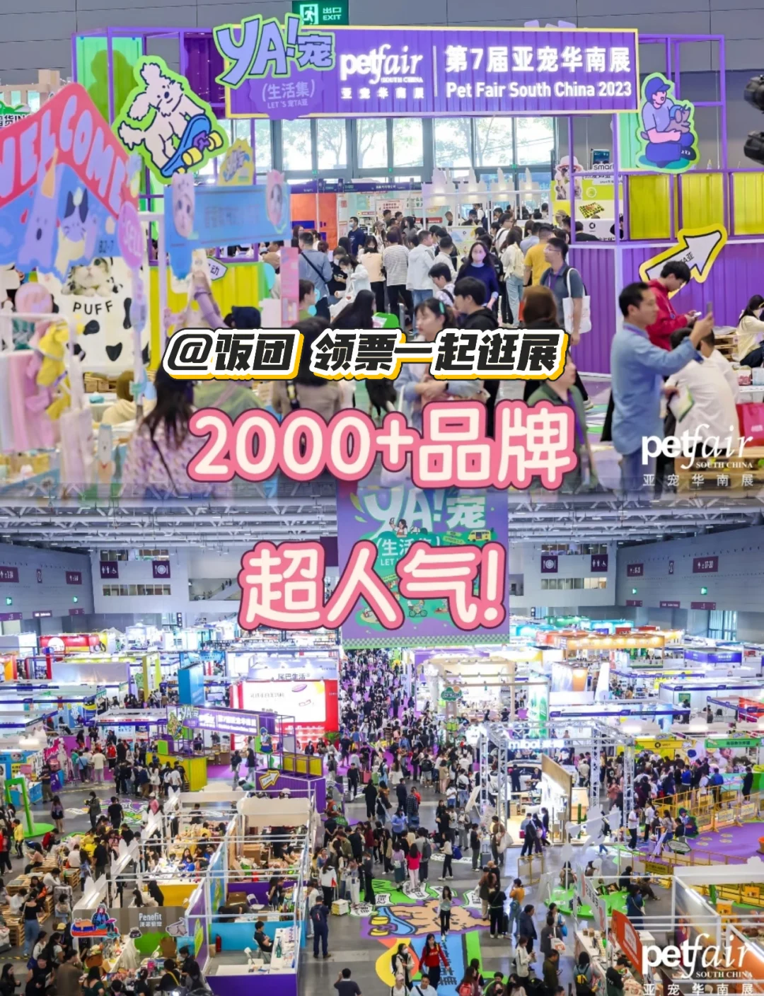 铲屎官狂喜！饭团带你提前云逛亚宠华南展