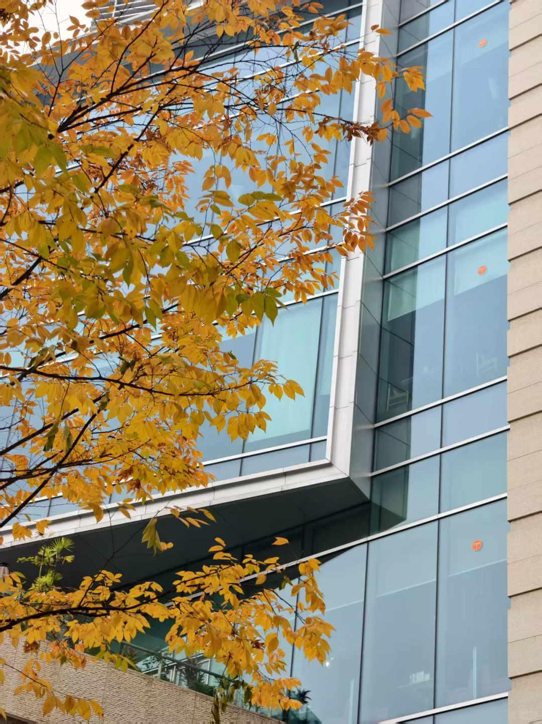 00后女机械工程师｜开启职场＋副业双副本