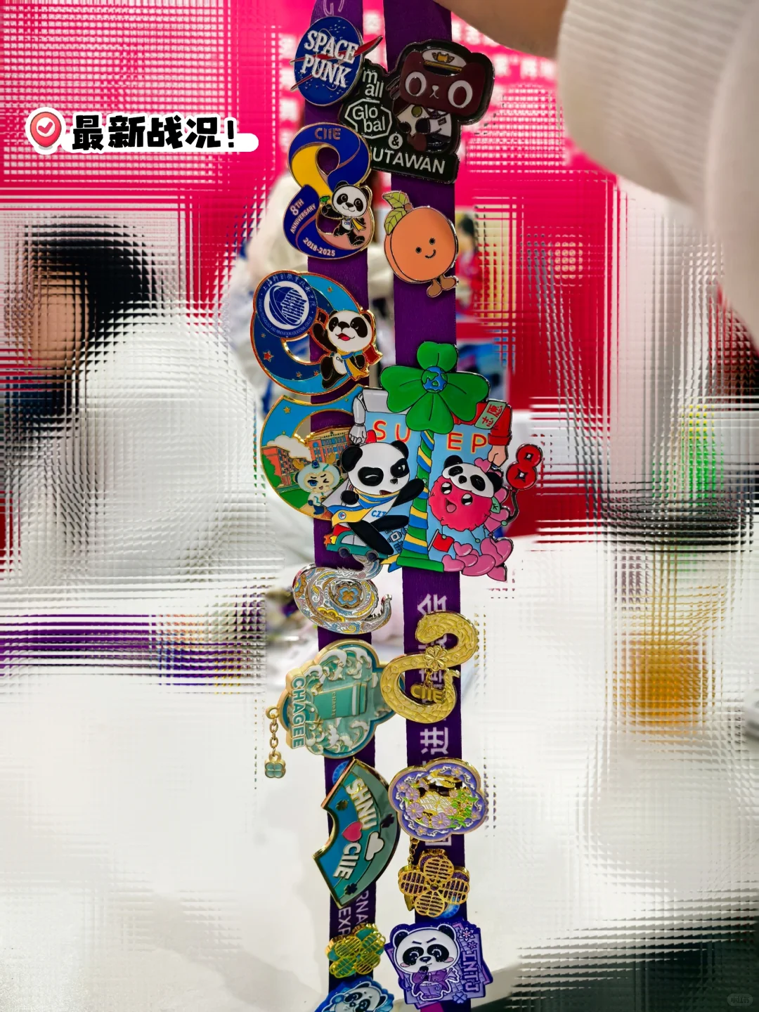 进博会薅羊毛！（朱波精选版）