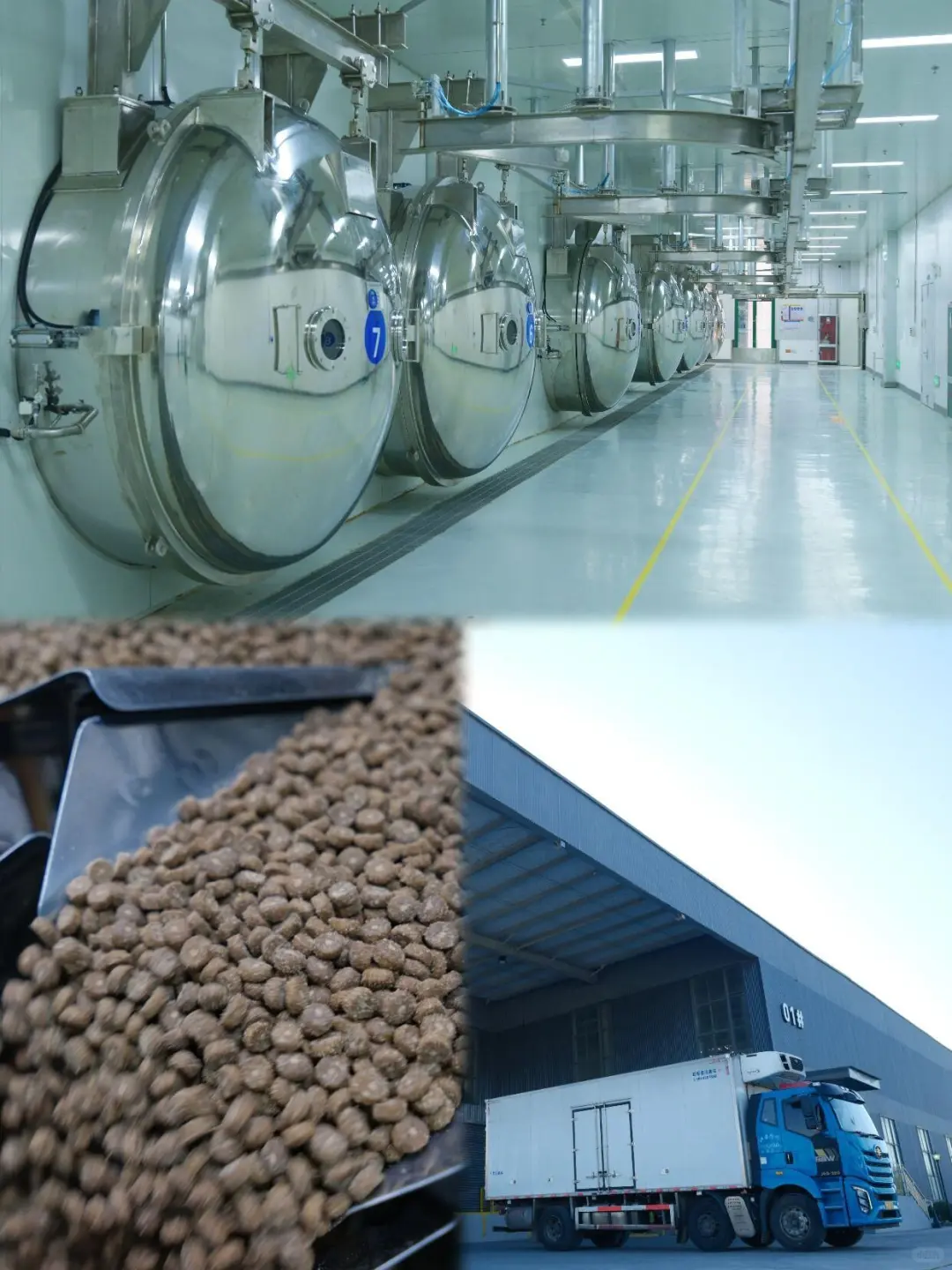 参观完12万平的猫粮工厂后，我被震撼到了