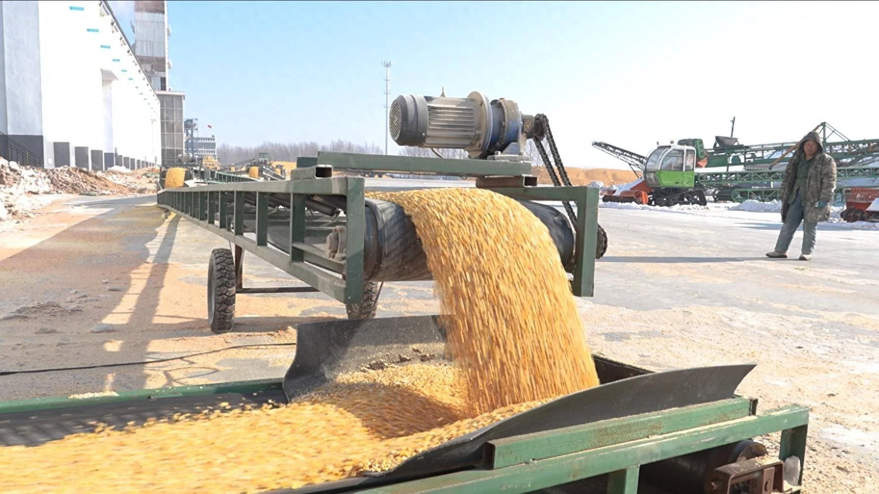 尼日利亚中国商会及农业部采购大豆的机械