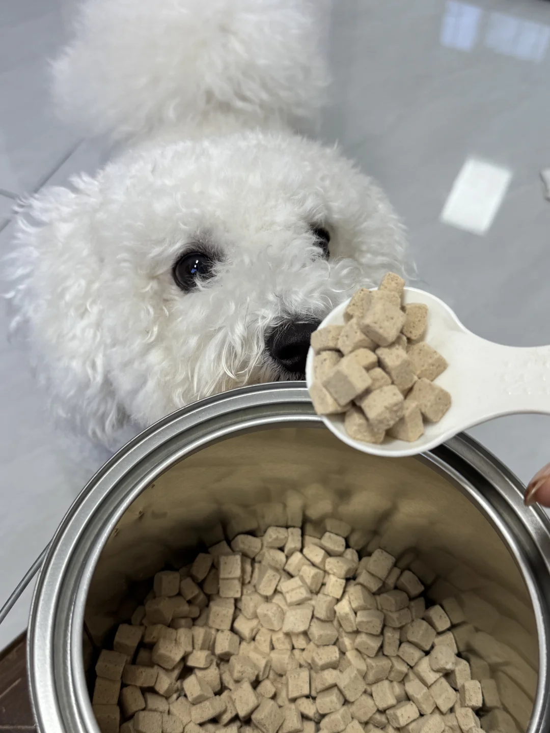 你好，请问这边几点开饭呀？