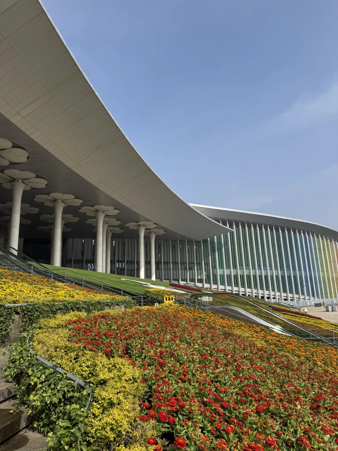 进博会马上开幕啦！提前体验看看吧！