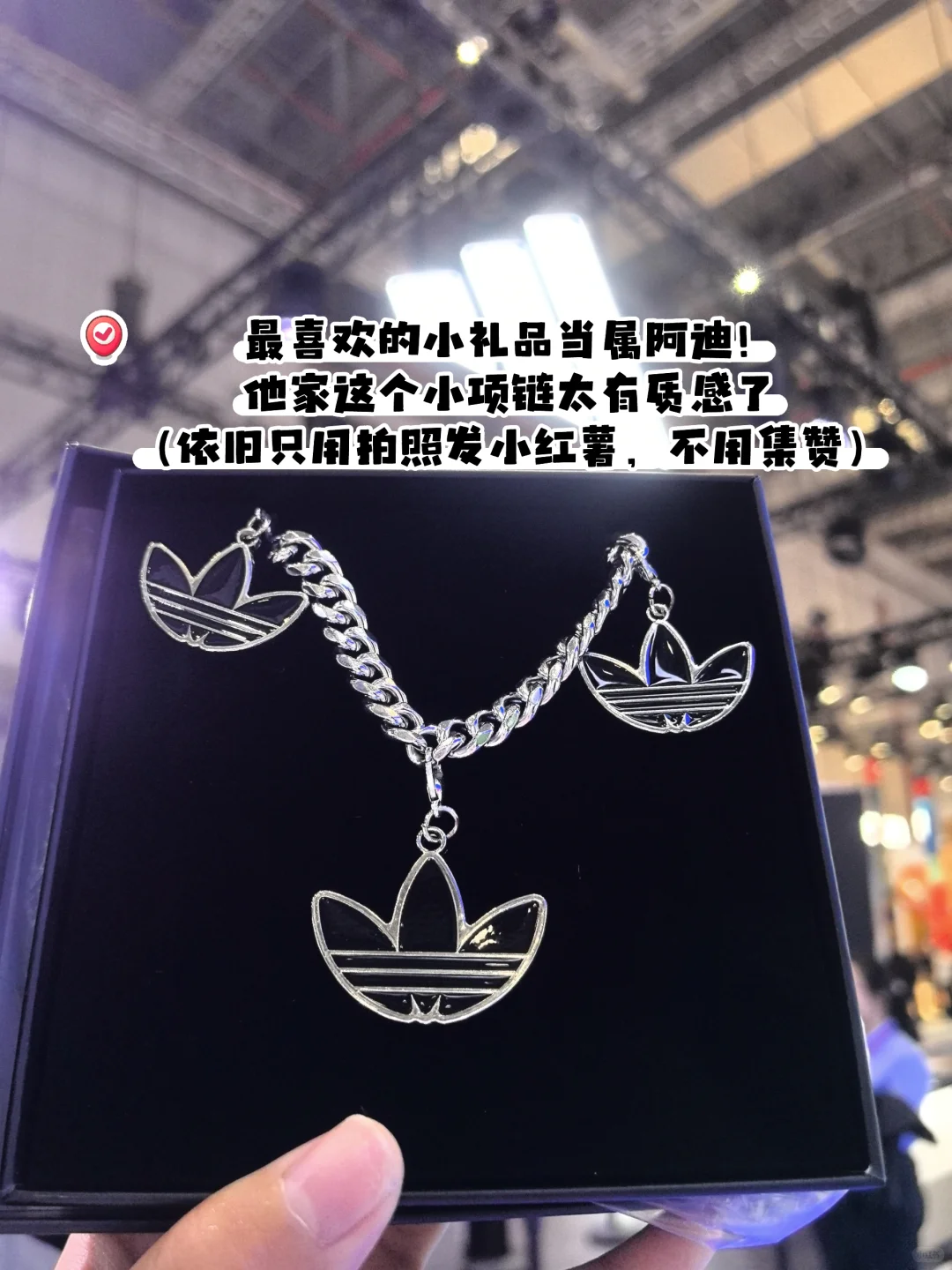 进博会薅羊毛！（朱波精选版）