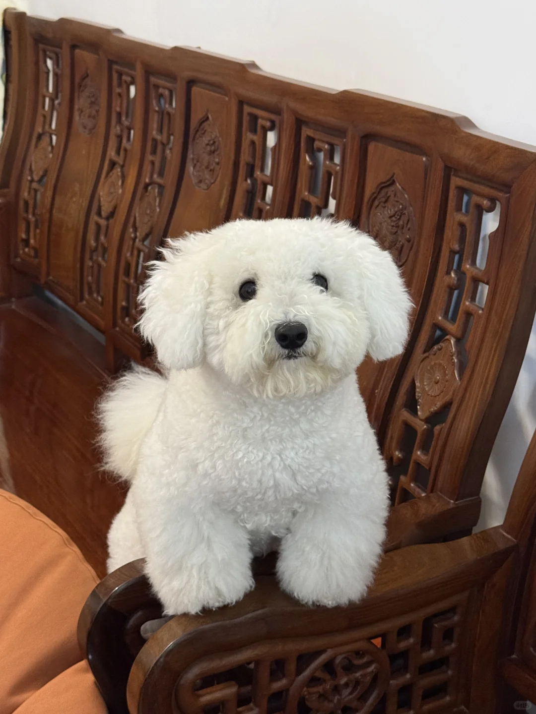 你好，请问这边几点开饭呀？