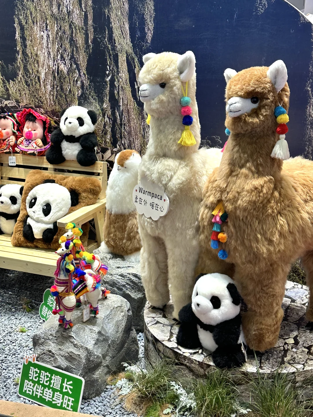 来逛进博会啦 日行两万步?