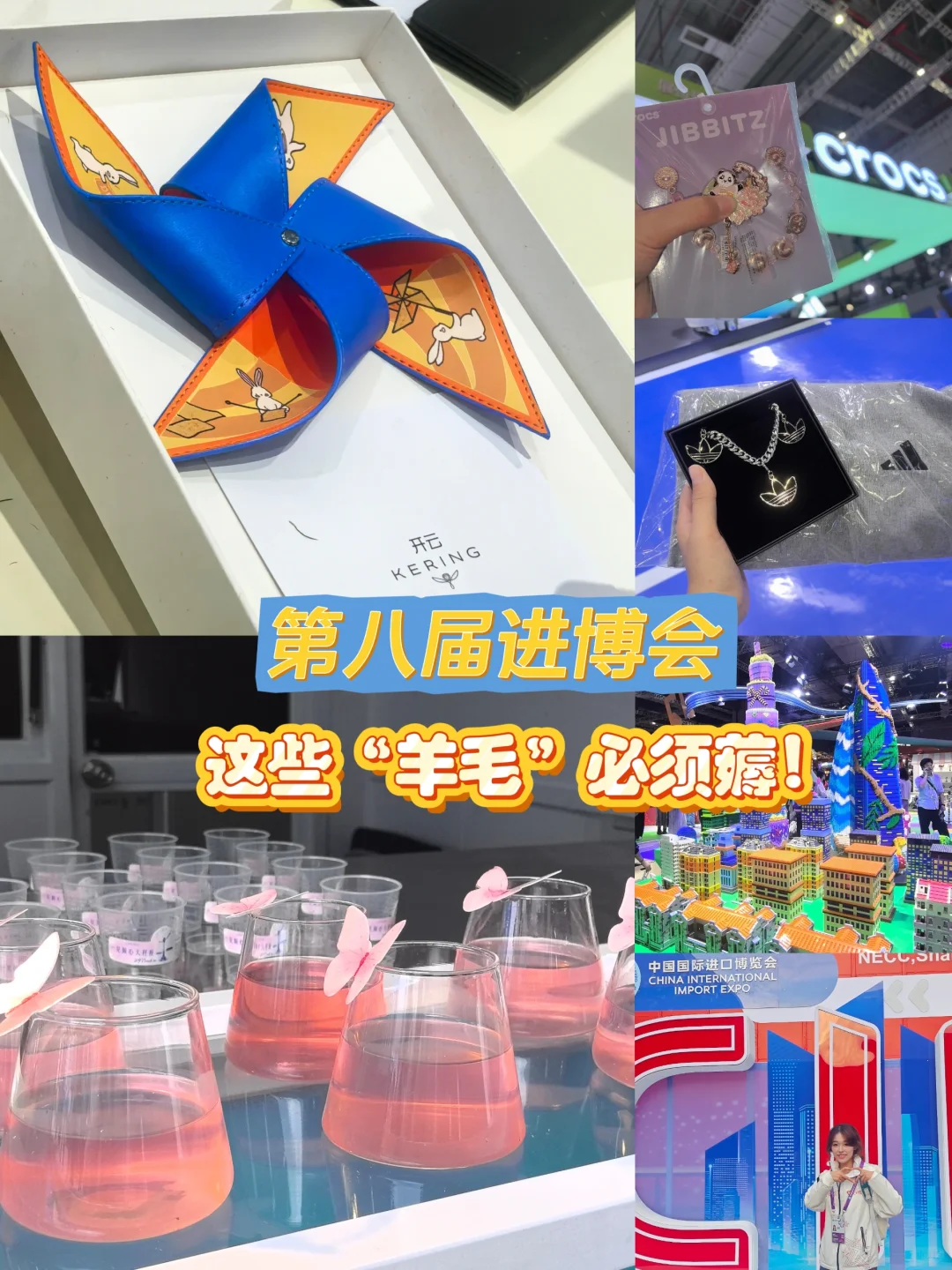 进博会薅羊毛！（朱波精选版）