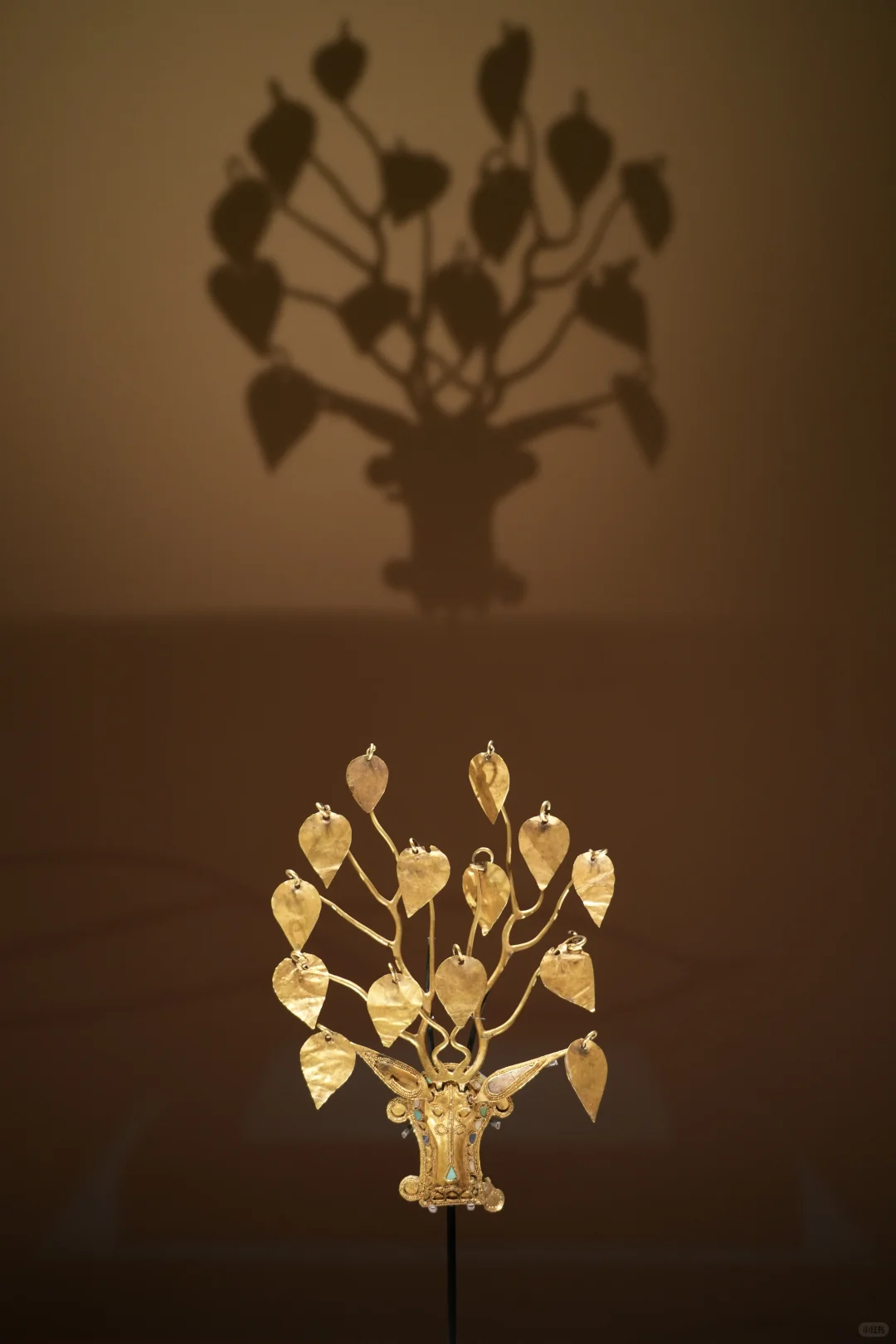 金耀九州|掉进安博金窖