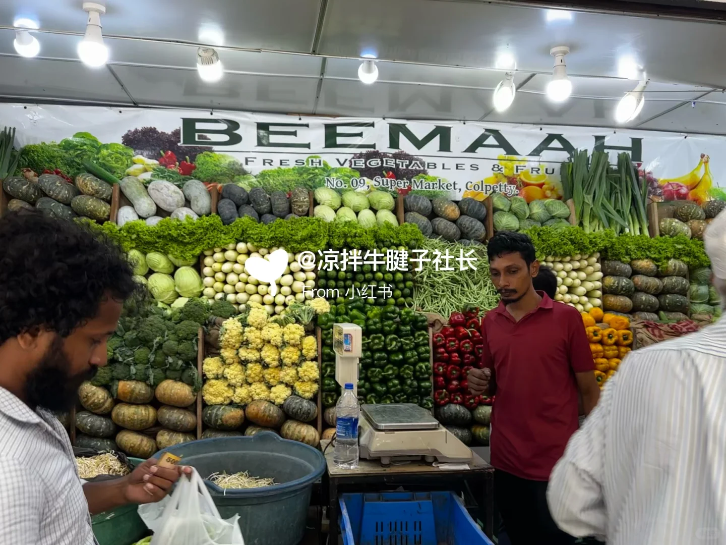 蔬菜紧急告急!科伦坡蔬菜采购市场分享??