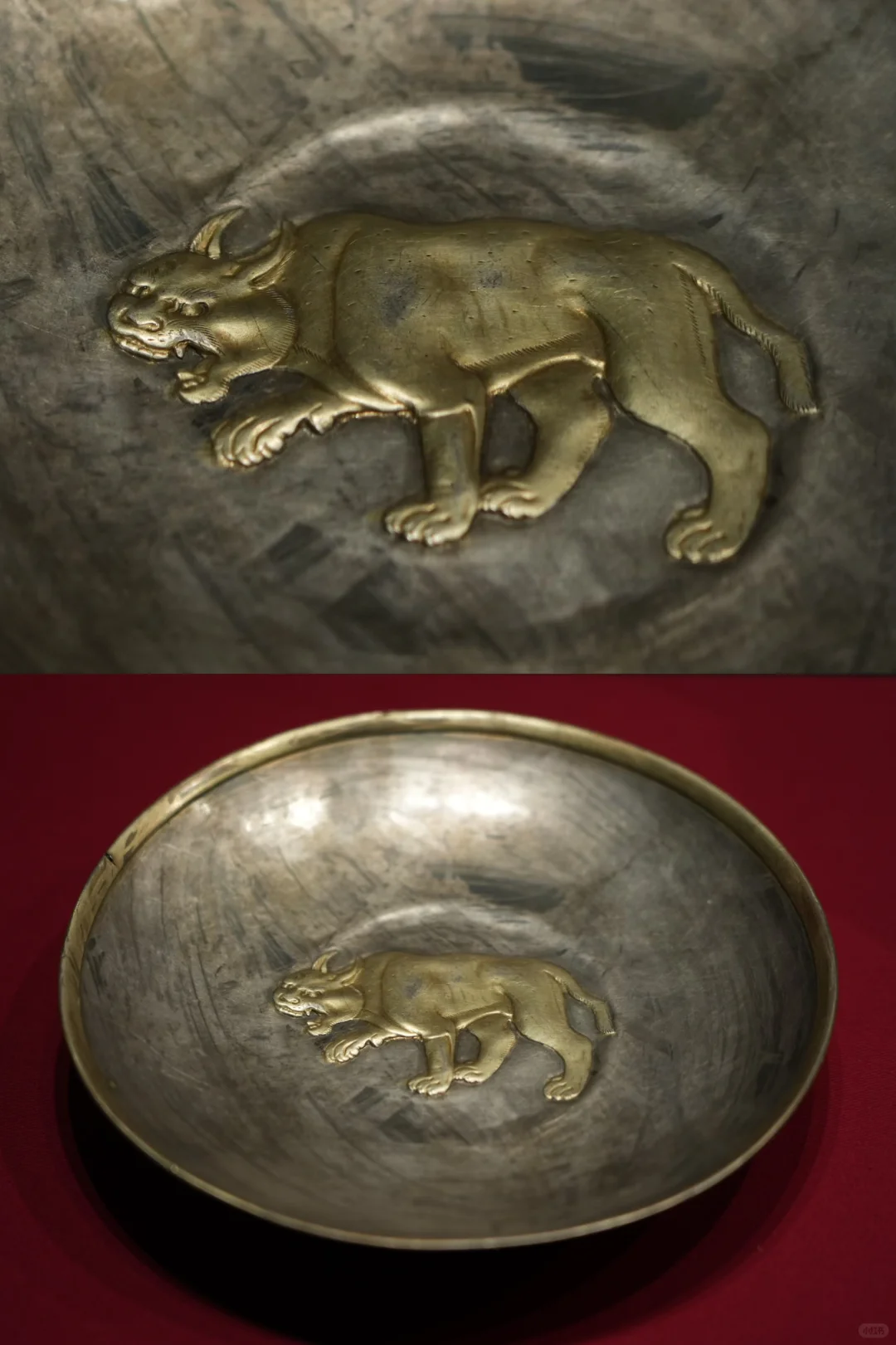 金耀九州|掉进安博金窖