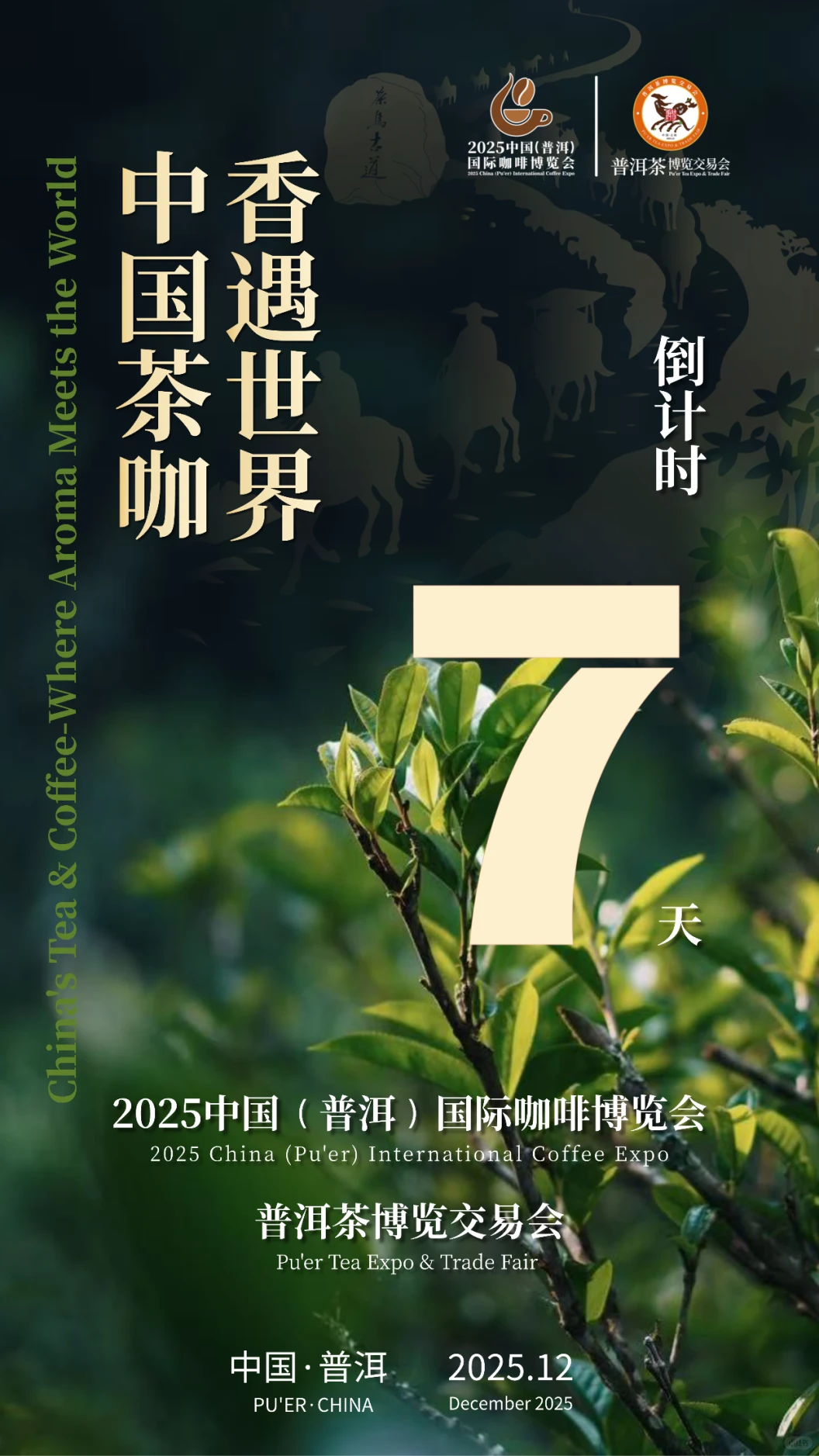 普洱|倒计时7天！普洱茶咖博览会，香遇世界