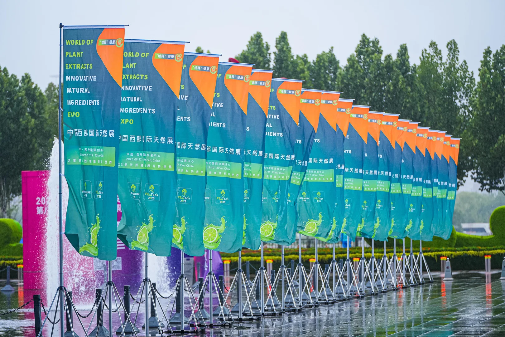 WPE&WHPE的核心采购商