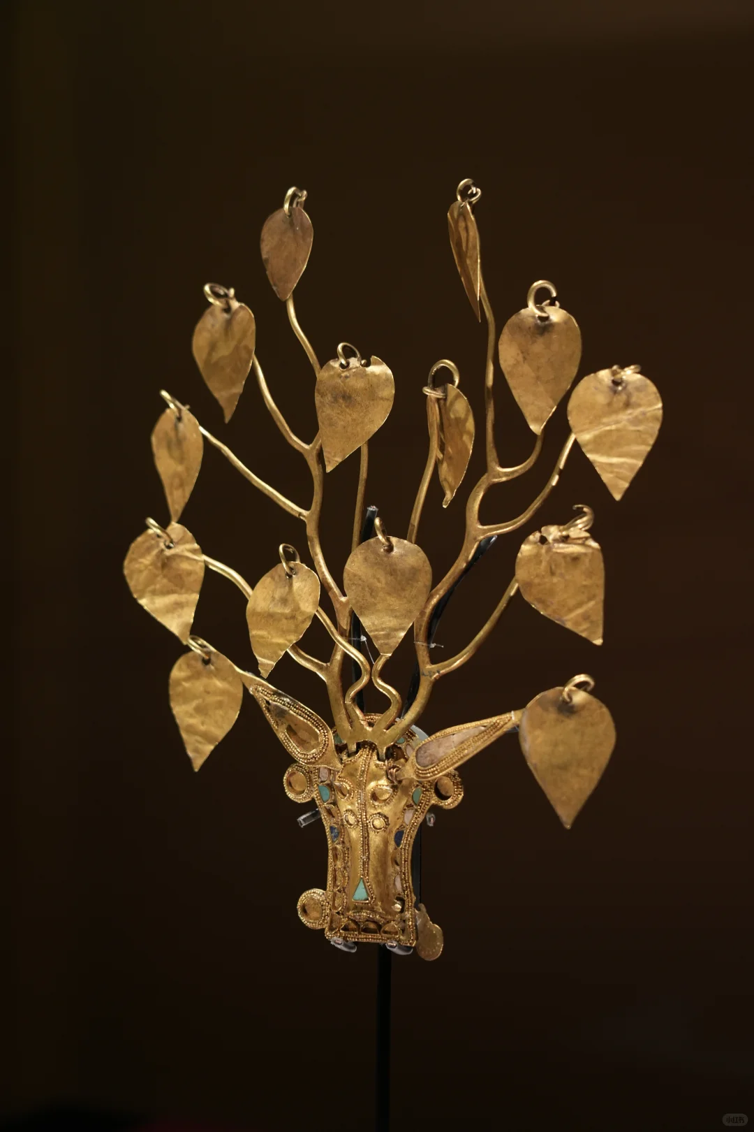 金耀九州|掉进安博金窖