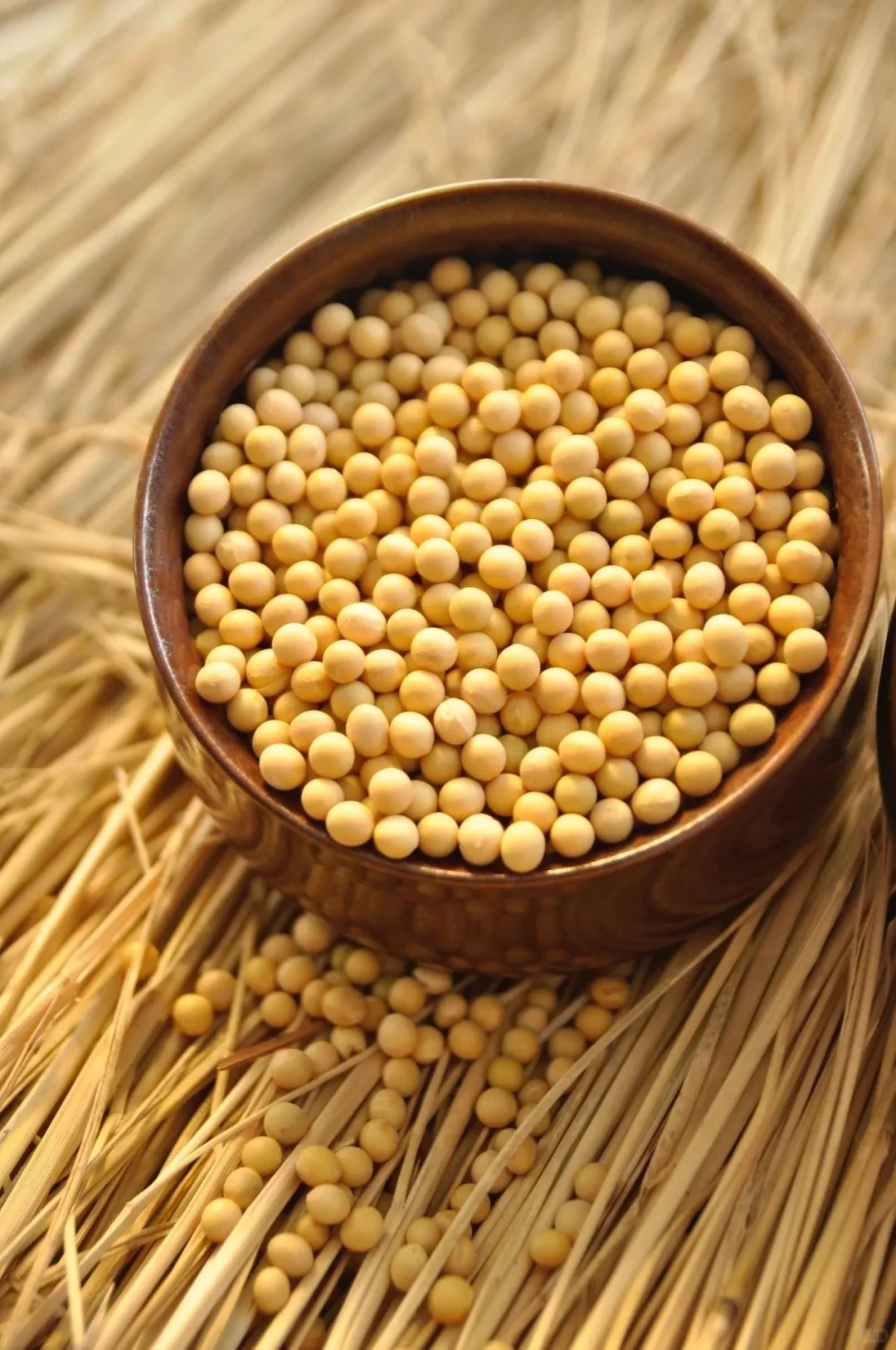 尼日利亚中国商会及农业部采购大豆的机械