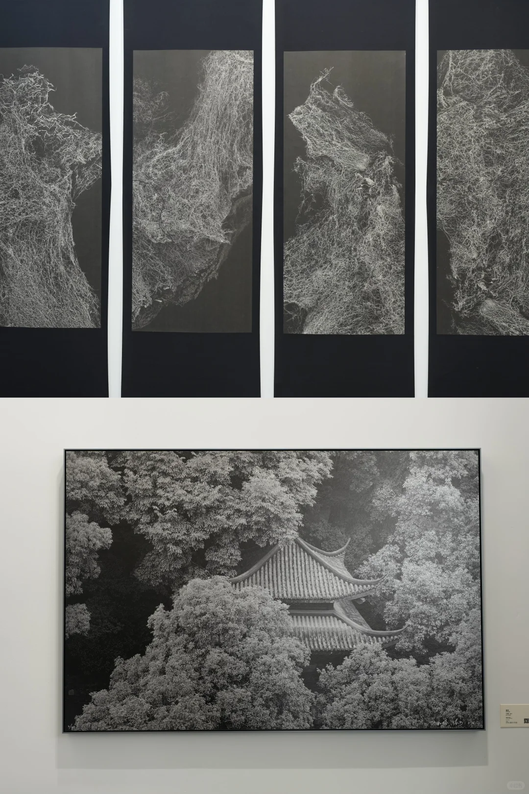 2025 Art021看展｜今年的艺术氛围更戳人了