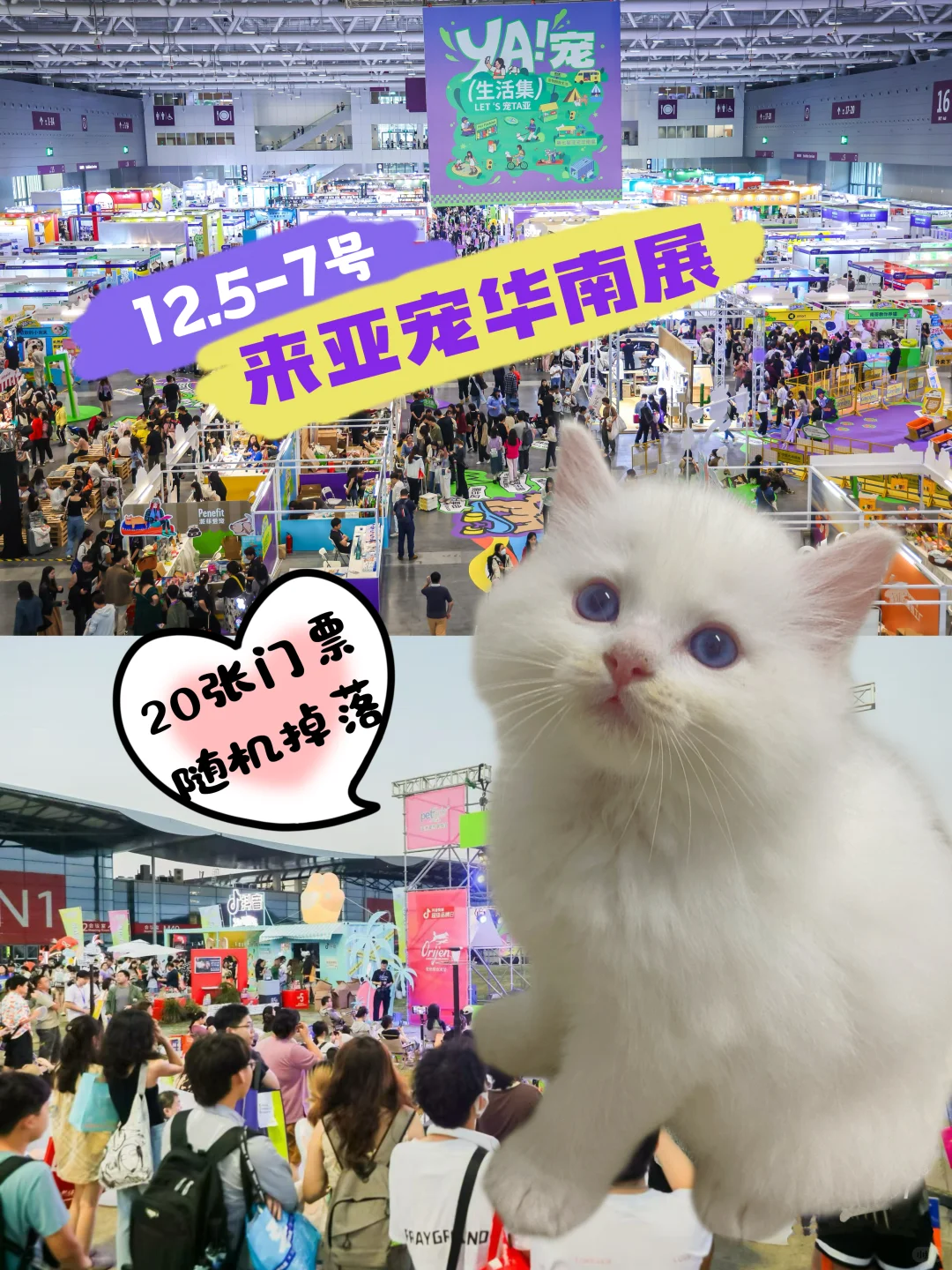 亚宠华南展福利！揪20位粉丝免费逛展啦?