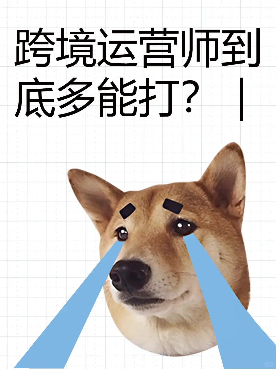 ?跨境运营师到底多能打？｜别再说跨境只能找