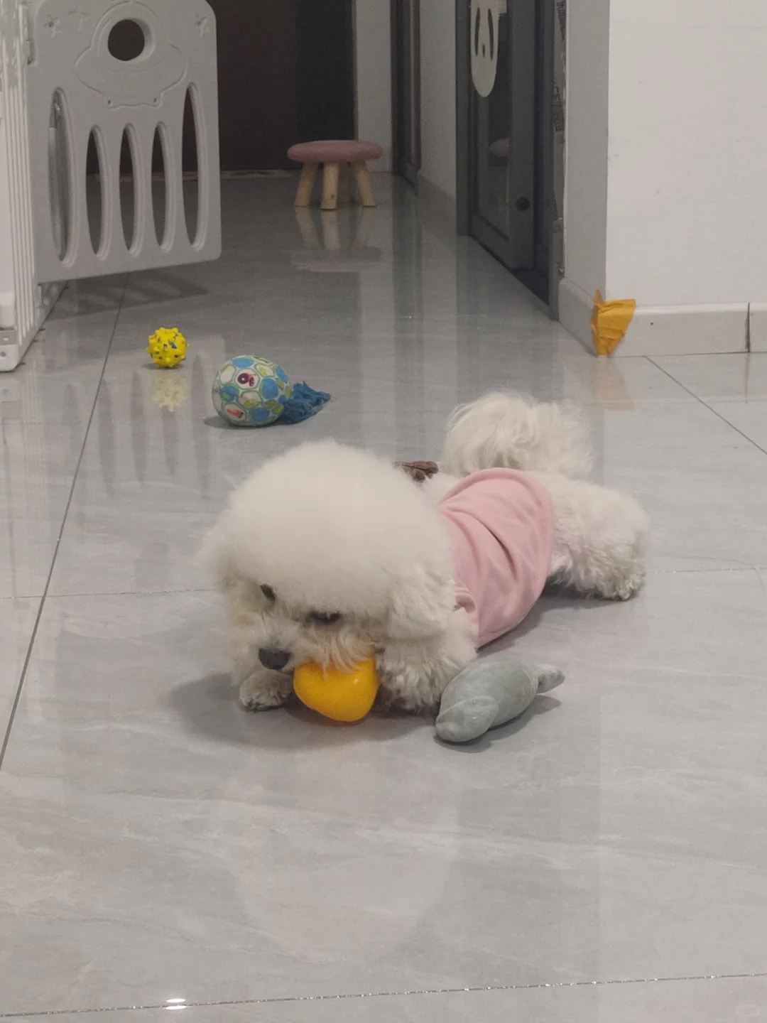 TOB端小白销售喷码机第一天