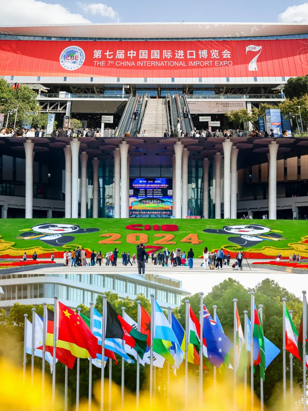 进博会的“食堂”，吃上了！