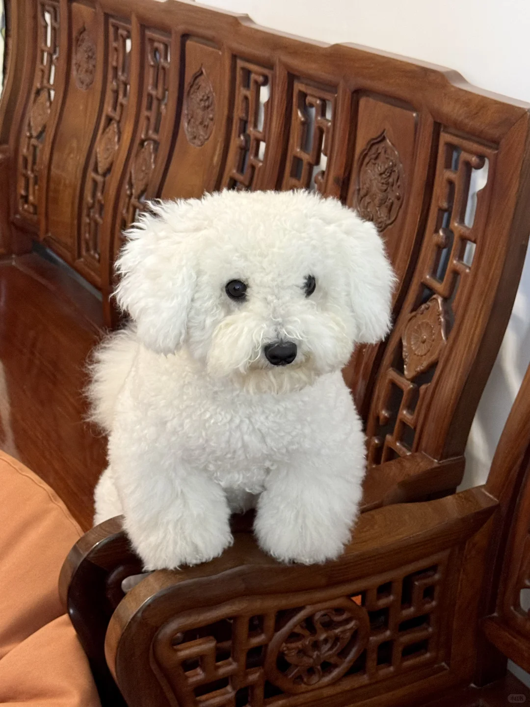 你好，请问这边几点开饭呀？