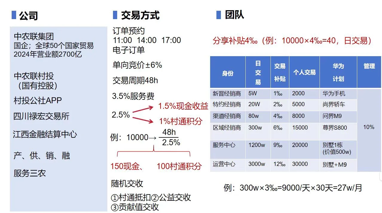 中农联村投集团