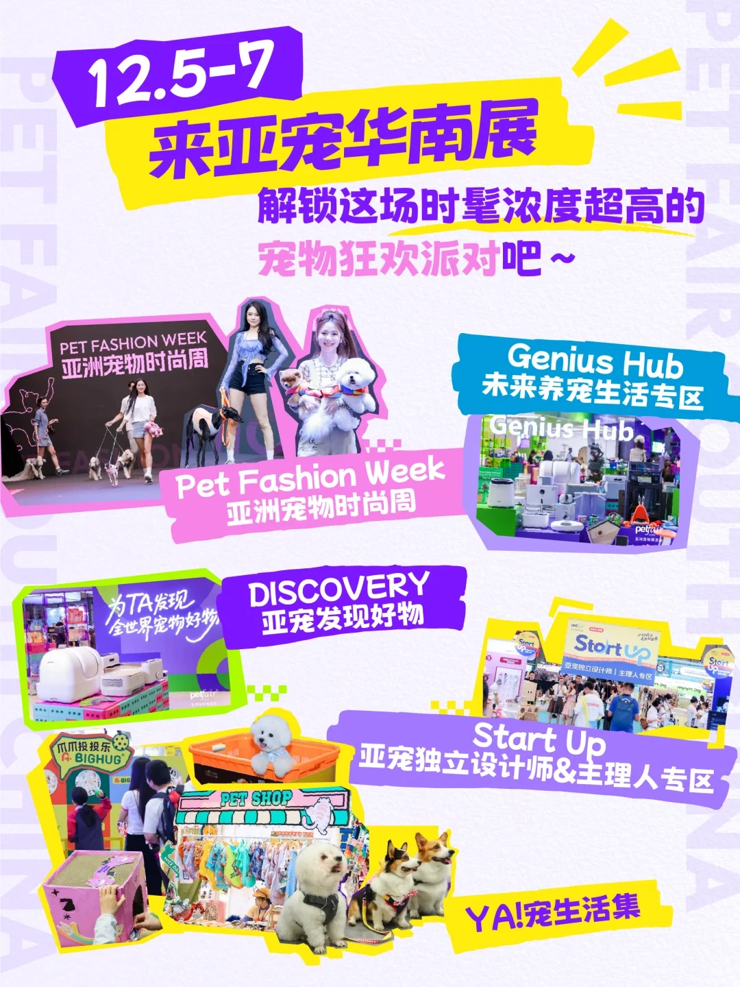 送票啦?️一起来逛亚宠华南展~