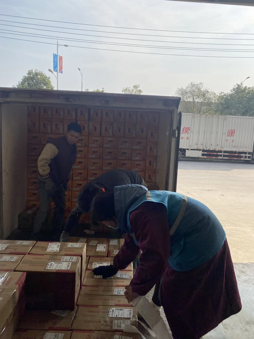 品质源链 · 专业直达