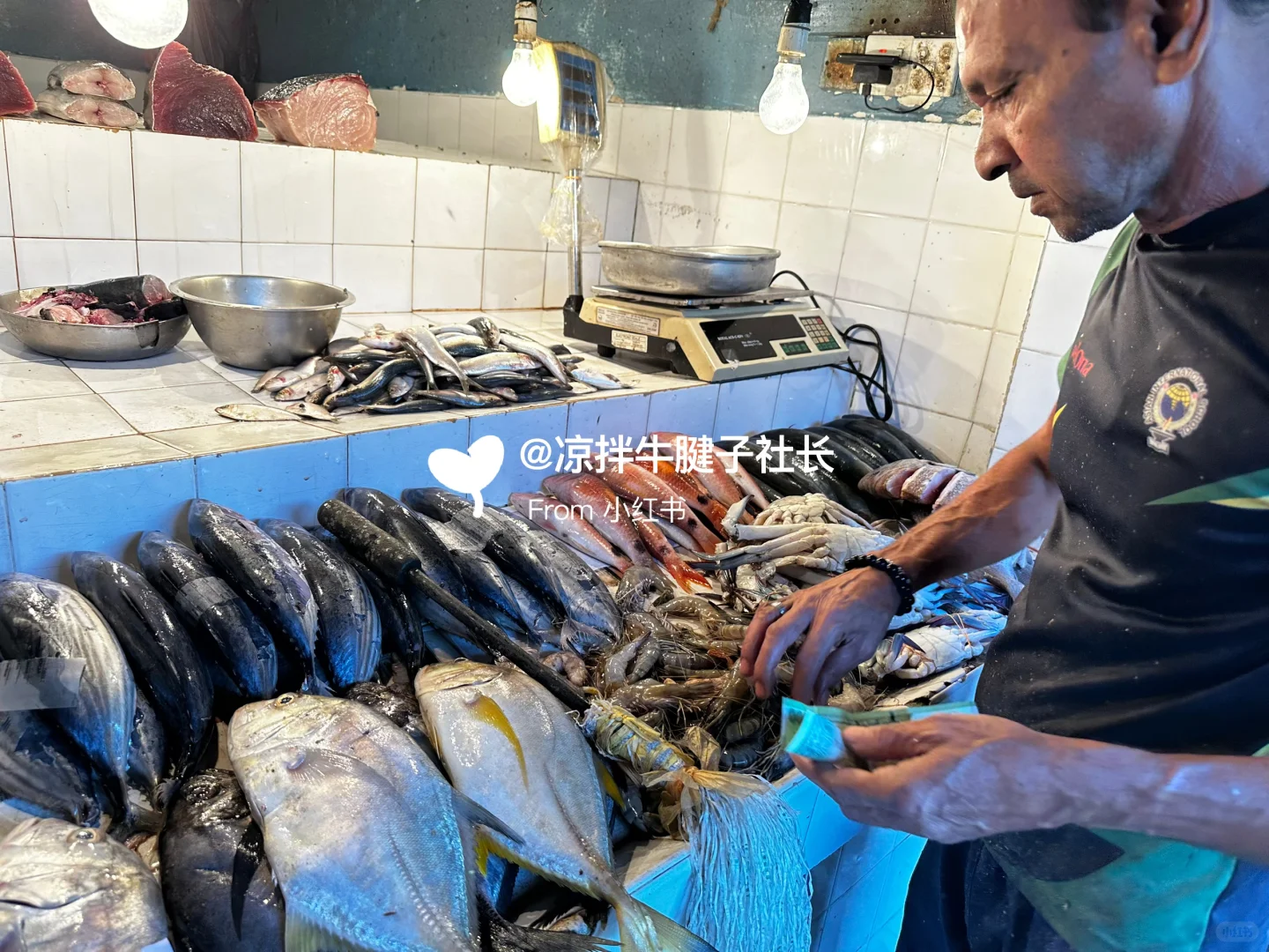 蔬菜紧急告急!科伦坡蔬菜采购市场分享??