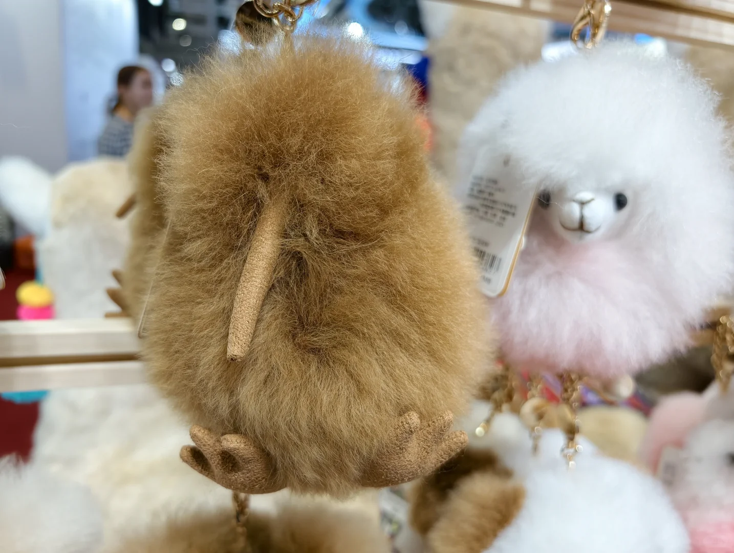 2025进博会第五天“抄底”攻略