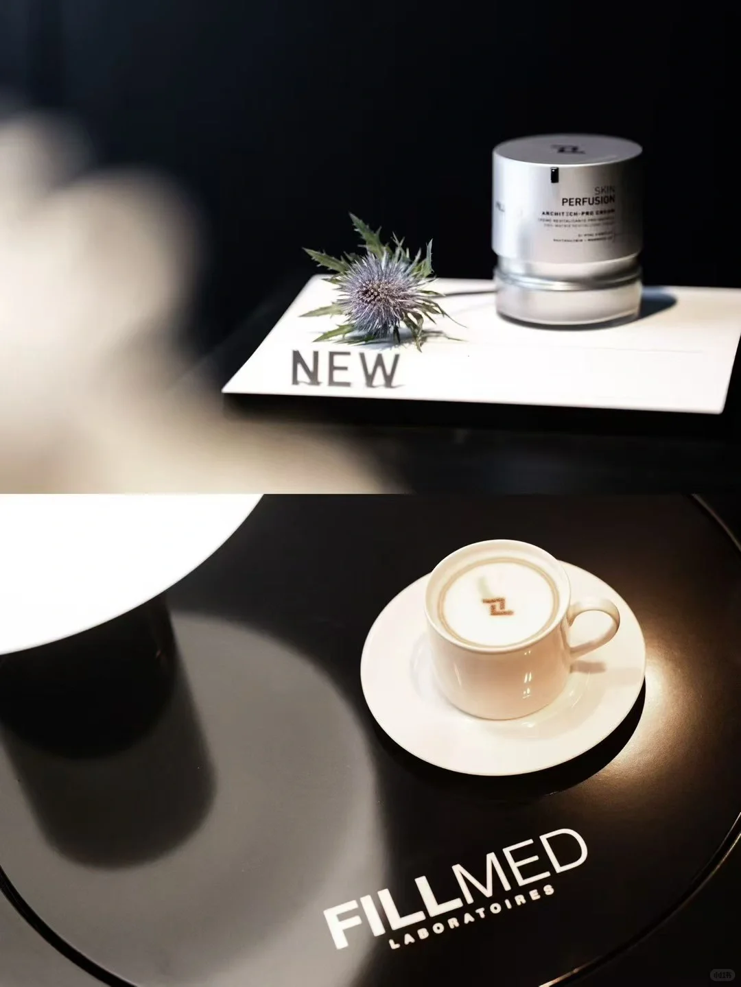 NASO纳所｜与美同行，与美共舞