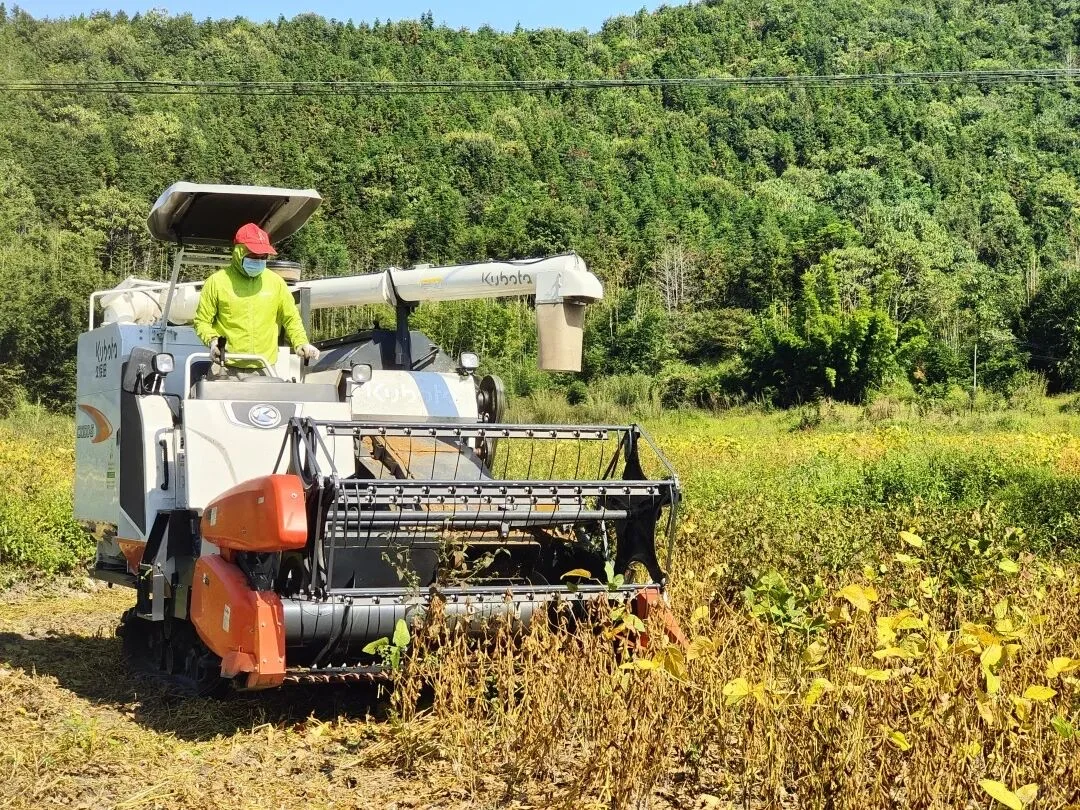 尼日利亚中国商会及农业部采购大豆的机械