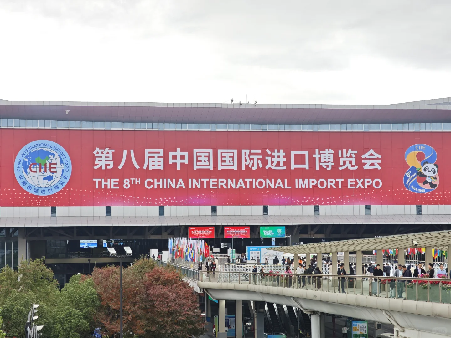 交换一张你的进博会