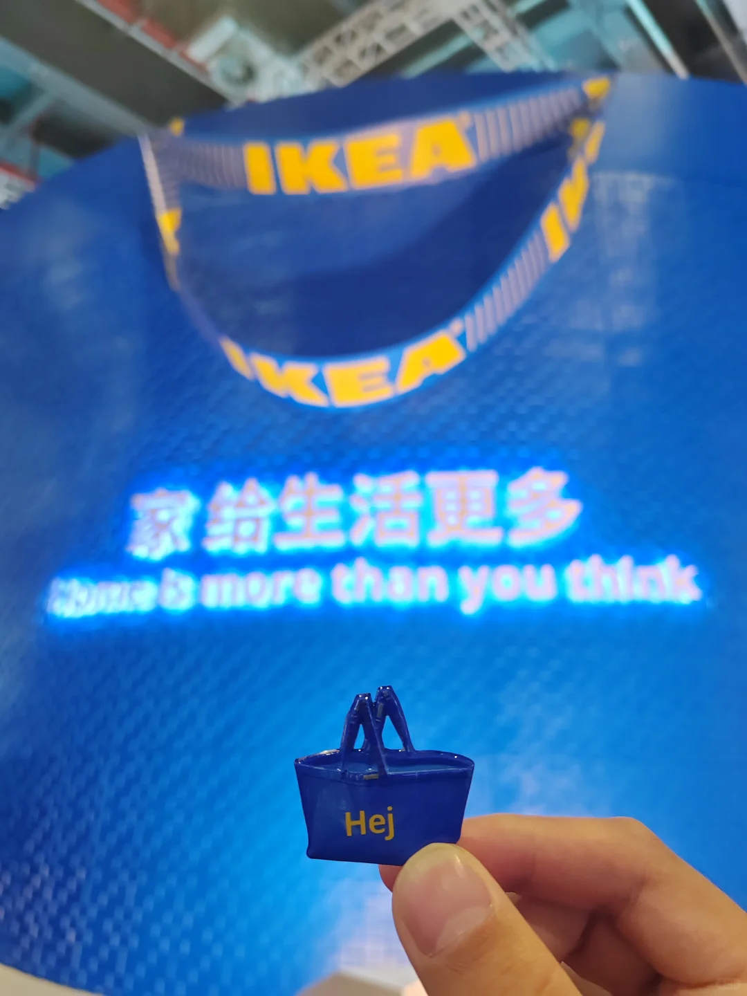 11.7进博会“战绩”分享（附打卡攻略）