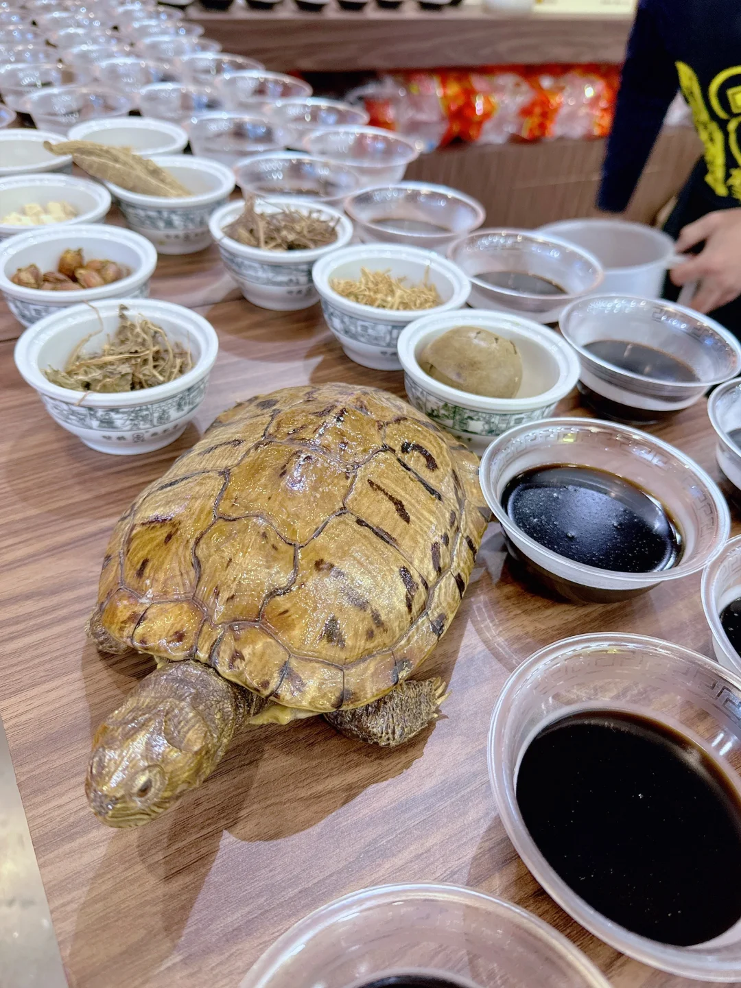 免费试吃！深圳全食展来啦！观展攻略戳！