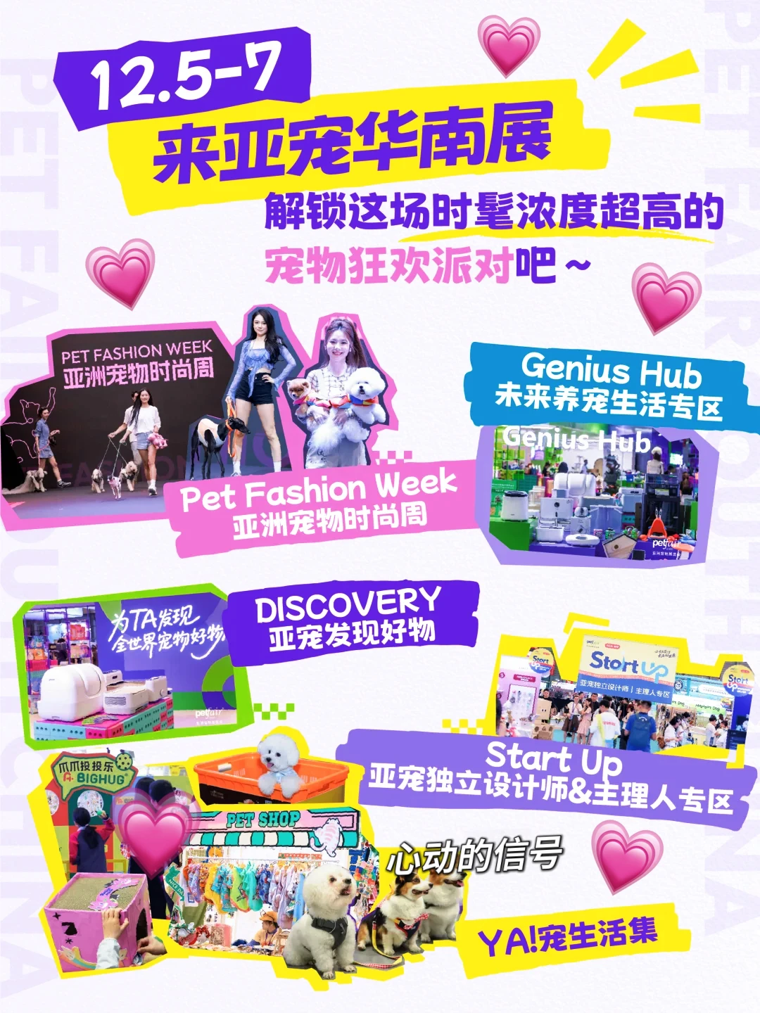 风靡宠物界的亚宠华南展门票，你pick✅10仔送