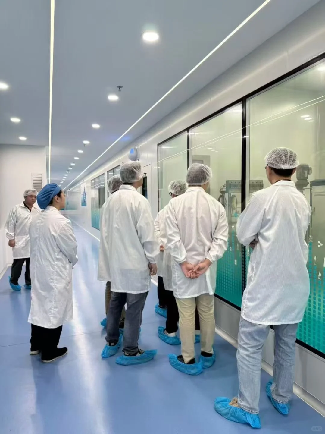 ?参观美中生物汉方工厂