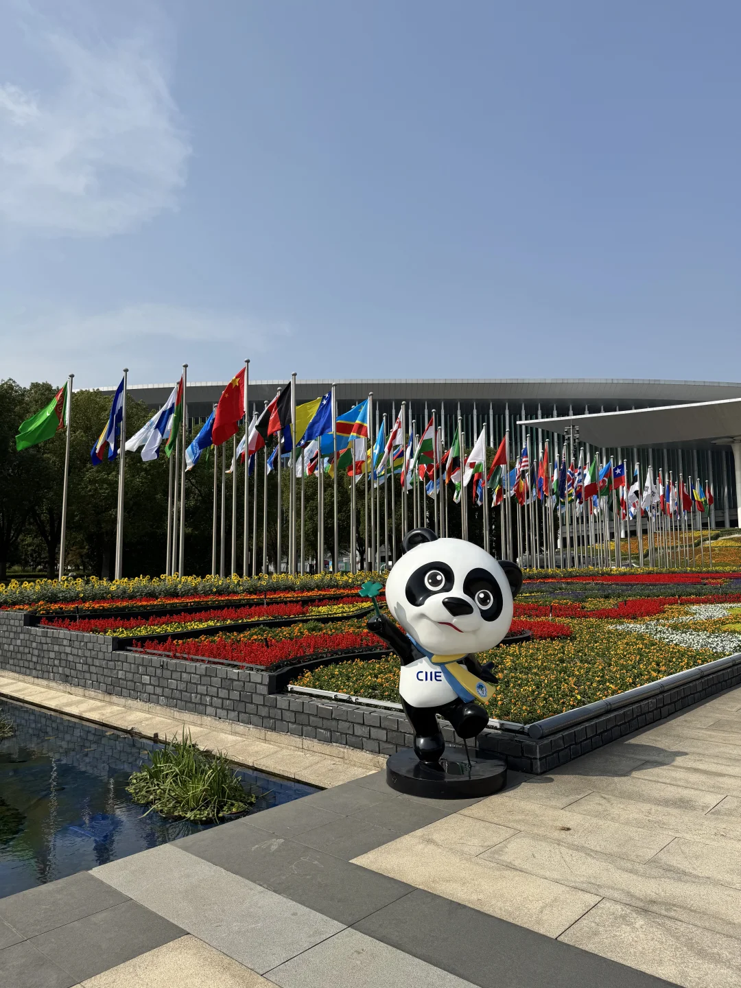 进博会马上开幕啦！提前体验看看吧！