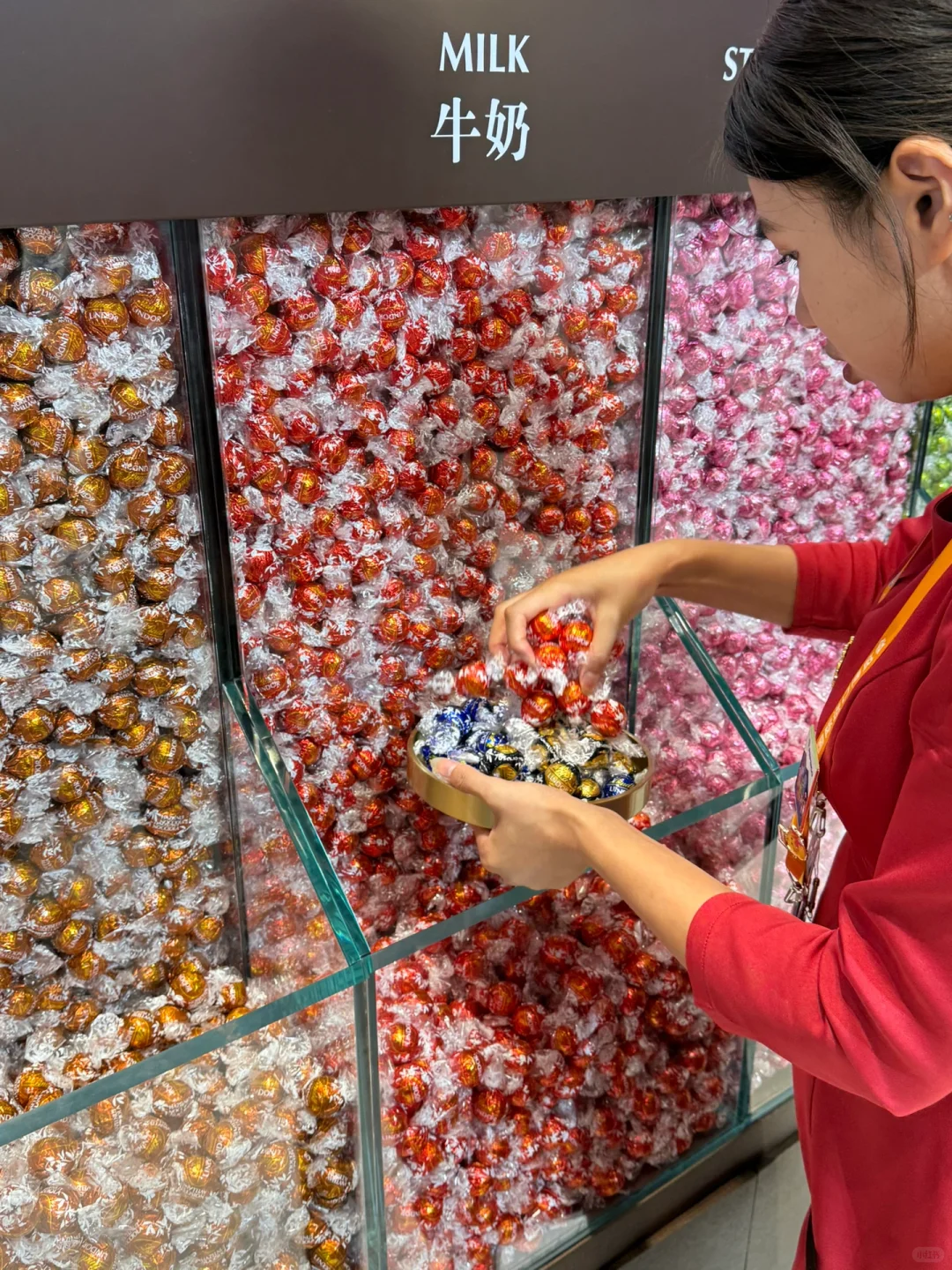 18张live图感受进博会｜逛吃逛喝到处排长队