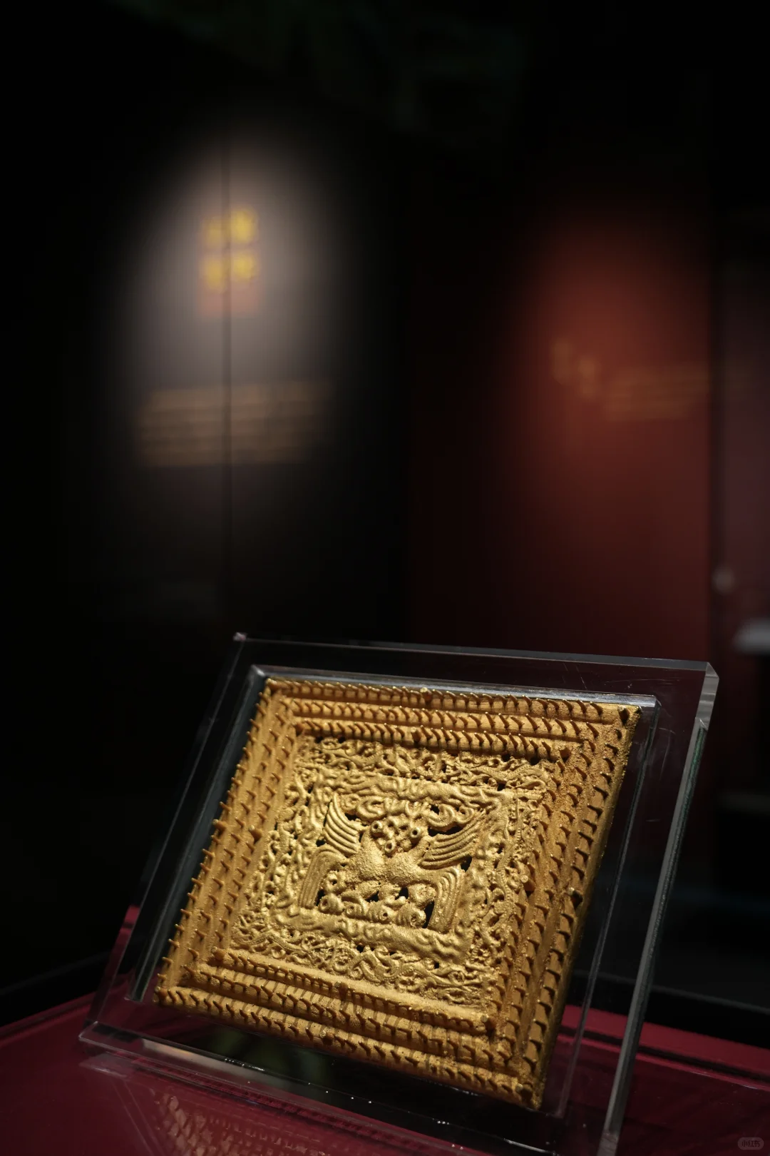 金耀九州|掉进安博金窖